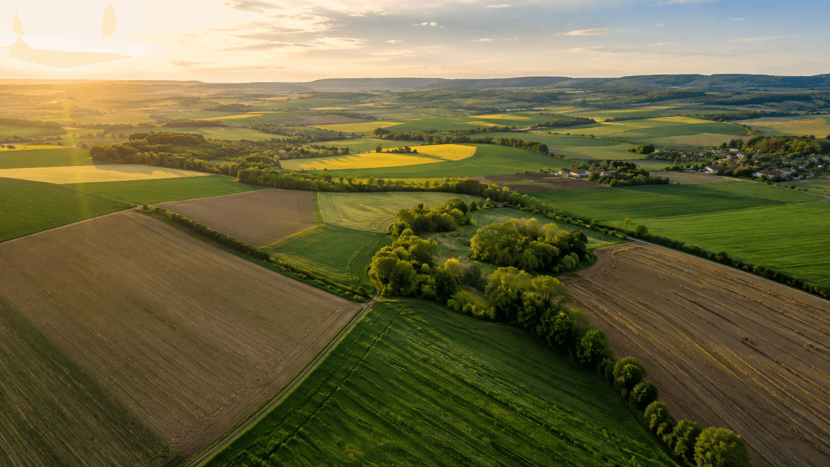 Landwirtschaft
