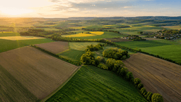 Landwirtschaft